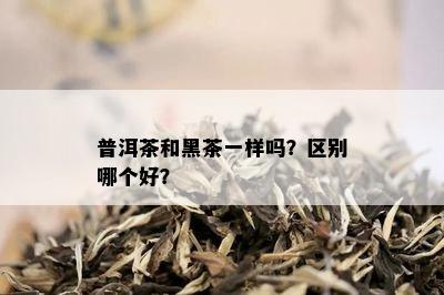 普洱茶和黑茶一样吗？区别哪个好？