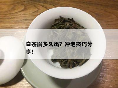 白茶眉多久出？冲泡技巧分享！