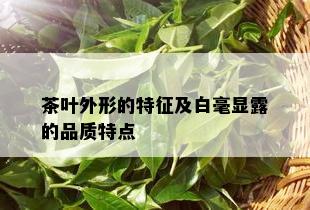 茶叶外形的特征及白毫显露的品质特点