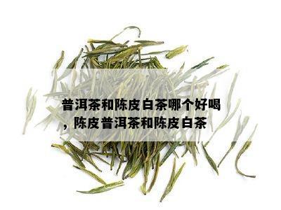 普洱茶和陈皮白茶哪个好喝，陈皮普洱茶和陈皮白茶