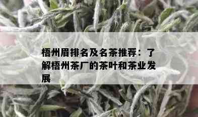 梧州眉排名及名茶推荐：了解梧州茶厂的茶叶和茶业发展