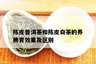 陈皮普洱茶和陈皮白茶的养脾胃效果及区别