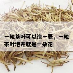 一粒茶叶可以泡一壶，一粒茶叶泡开就是一朵花