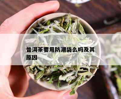 普洱茶要用防潮袋么吗及其原因