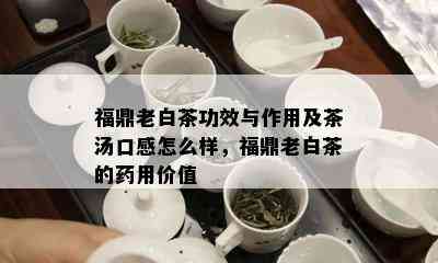 福鼎老白茶功效与作用及茶汤口感怎么样，福鼎老白茶的用价值