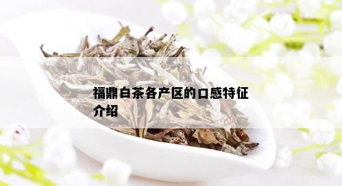 福鼎白茶各产区的口感特征介绍