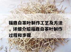 福鼎白茶叶制作工艺及方法，详细介绍福鼎白茶叶制作过程和步骤