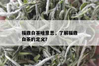 福鼎白茶啥意思，了解福鼎白茶的定义？