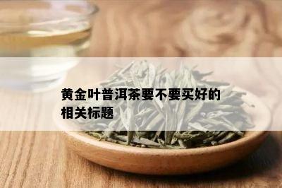 黄金叶普洱茶要不要买好的相关标题