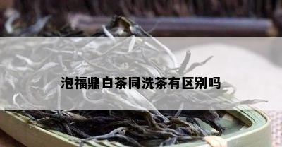 泡福鼎白茶同洗茶有区别吗