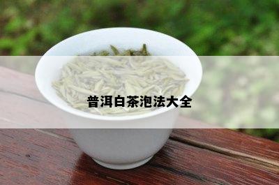 普洱白茶泡法大全