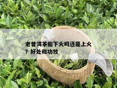 老普洱茶能下火吗还是上火？好处和功效