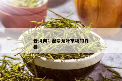 普洱向：澄清茶叶市场的真相