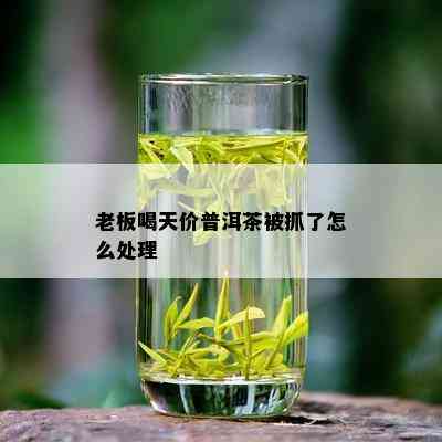 老板喝天价普洱茶被抓了怎么处理