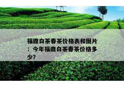 福鼎白茶春茶价格表和图片：今年福鼎白茶春茶价格多少？