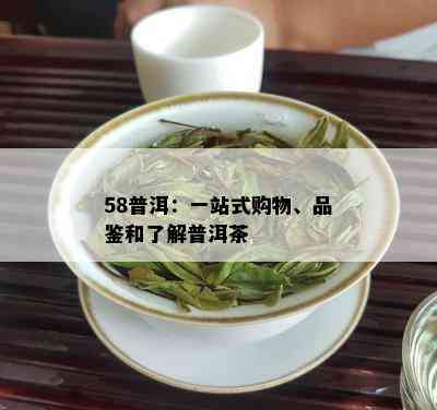 58普洱：一站式购物、品鉴和了解普洱茶