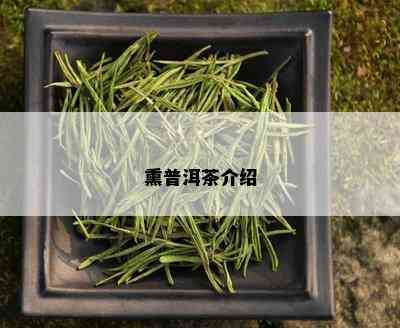 熏普洱茶介绍