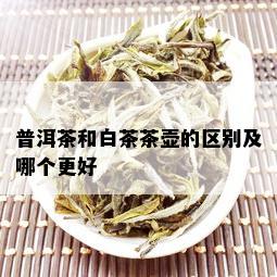 普洱茶和白茶茶壶的区别及哪个更好