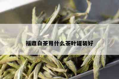 福鼎白茶用什么茶叶罐装好