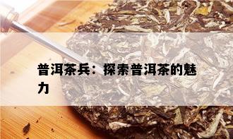 普洱茶兵：探索普洱茶的魅力