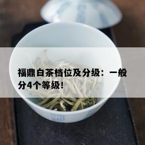 福鼎白茶档位及分级：一般分4个等级！