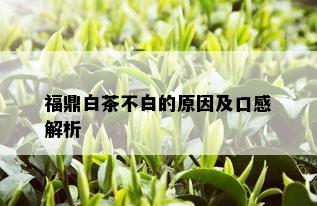 福鼎白茶不白的原因及口感解析