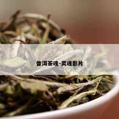 普洱茶魂-灵魂影片