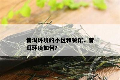 普洱环境的小区和餐馆，普洱环境如何？