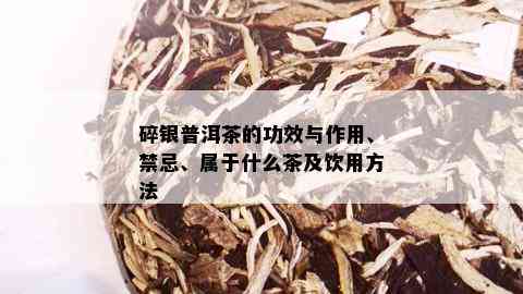 碎银普洱茶的功效与作用、禁忌、属于什么茶及饮用方法