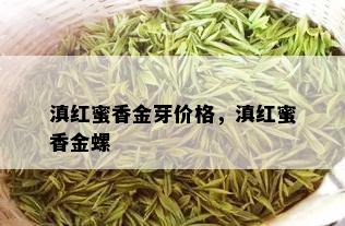 滇红蜜香金芽价格，滇红蜜香金螺