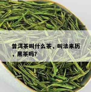 普洱茶叫什么茶，叫法来历，黑茶吗？