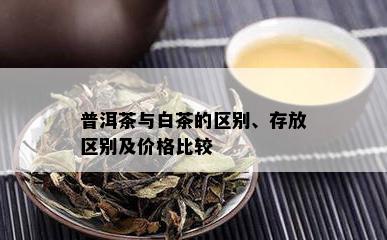 普洱茶与白茶的区别、存放区别及价格比较