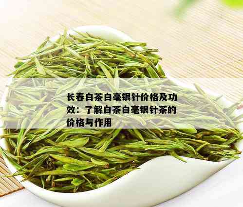 长春白茶白毫银针价格及功效：了解白茶白毫银针茶的价格与作用