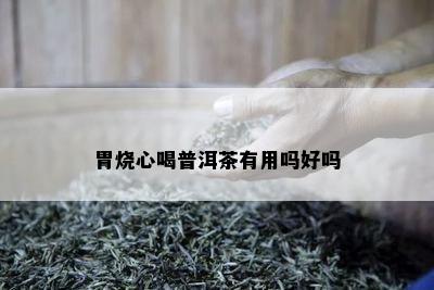 胃烧心喝普洱茶有用吗好吗