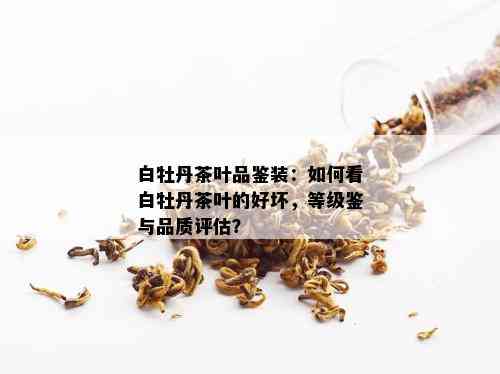 白牡丹茶叶品鉴装：如何看白牡丹茶叶的好坏，等级鉴与品质评估？