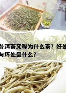 普洱茶又称为什么茶？好处与坏处是什么？