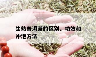 生熟普洱茶的区别、功效和冲泡方法