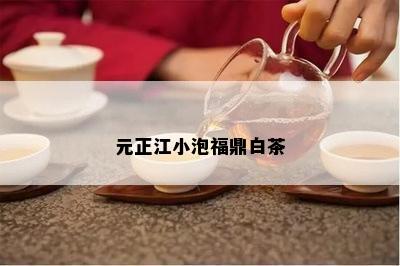 元正江小泡福鼎白茶