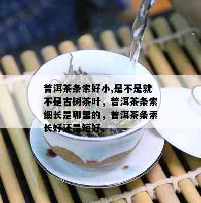 普洱茶条索好小,是不是就不是古树茶叶，普洱茶条索细长是哪里的，普洱茶条索长好还是短好。