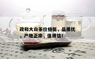 政和大白茶价格低，品质优，产地正宗，值得信！