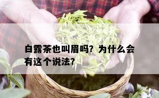 白露茶也叫眉吗？为什么会有这个说法？