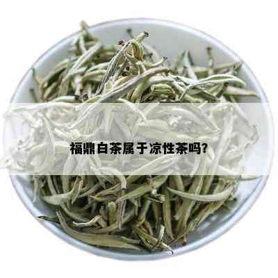 福鼎白茶属于凉性茶吗？