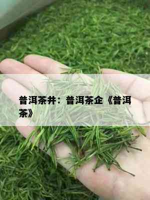 普洱茶井：普洱茶企《普洱茶》