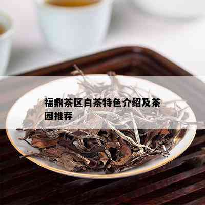 福鼎茶区白茶特色介绍及茶园推荐