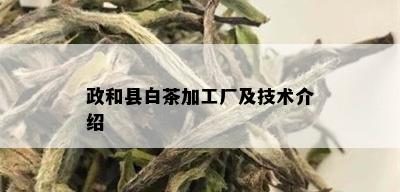 政和县白茶加工厂及技术介绍