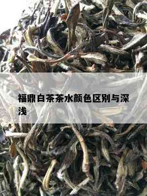 福鼎白茶茶水颜色区别与深浅