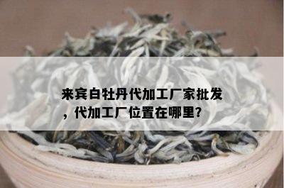 来宾白牡丹代加工厂家批发，代加工厂位置在哪里？