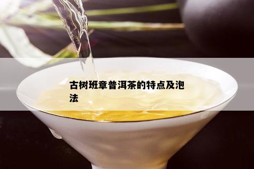 古树班章普洱茶的特点及泡法