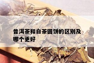 普洱茶和白茶圆饼的区别及哪个更好