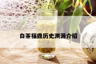 白茶福鼎历史渊源介绍